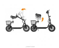 E-Scooter "E-Groove" 2.0, 25 Km/h Mofa nur 19...
