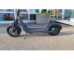 EGRET GT mit 13" Rädern und 48V 500W (1.620W Peak) Motor Graphitgrau, 20Ah - GROSSER AKKU!