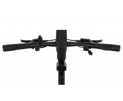 EGRET GT mit 13" Rädern und 48V 500W (1.620W Peak) Motor Graphitgrau, 20Ah - GROSSER AKKU!