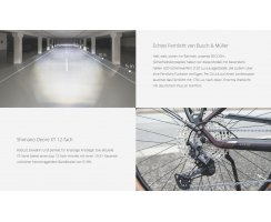 Pedelec KREIDLER Vitality Eco 10 SPORT RH45, Bosch Perf. Line CX 85Nm, 750Wh SmartSystem 12G Fernlicht uvm. Trekkingrad