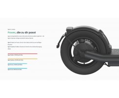 EGRET X CORE+ mit 12 1/2" Rädern,  36V 500W Motor anthrazit mit BLINKERN ! Perfekter Einsteiger-Roller!