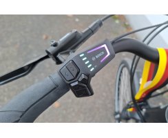 Pedelec KREIDLER Vitality Eco 8 RH45, Bosch Perf. Line 75Nm, 625Wh SmartSystem