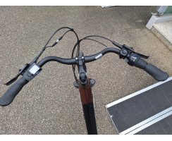 28" Pedelec SFM-Bikes DELUXE PLUS mit BFANG Mittelmotor 70Nm 418Wh (Bafang), bordeaux glänzend, RH45, FREILAUF